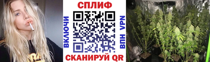 Купить наркотики сайты Чистополь А ПВП  Меф мяу мяу  hydra ссылки  ГАШИШ 